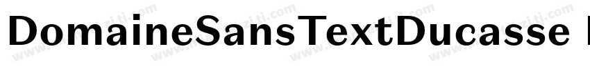 DomaineSansTextDucasse Medium字体转换
